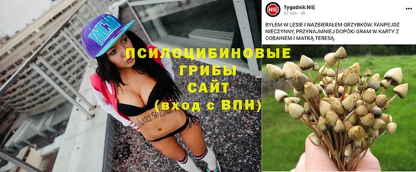 PSILOCYBIN Зеленодольск